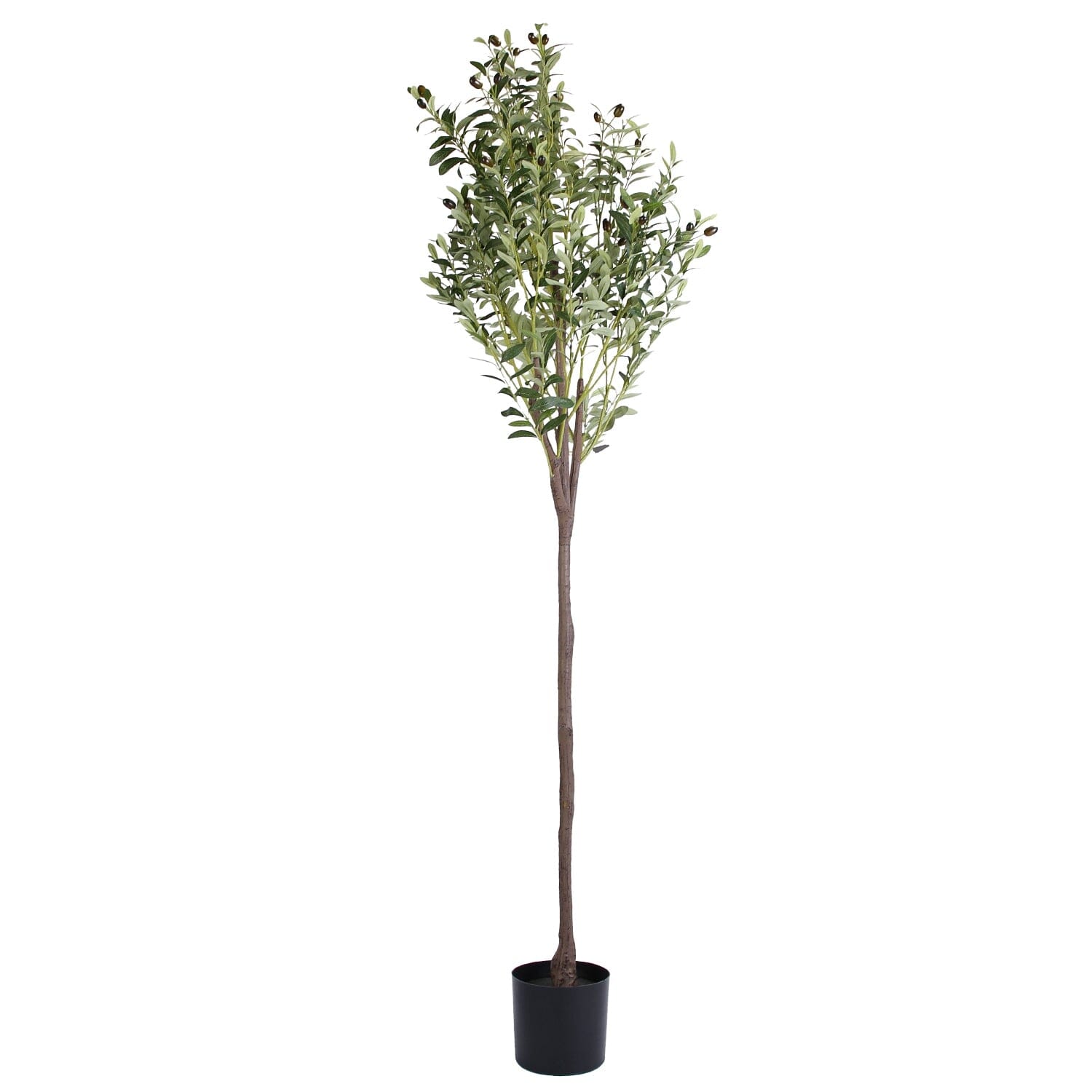 5.9ft Artificial Olive Tree with Lush Olive Branches and Fruits with Black Planter Pot Best Place Sale Online