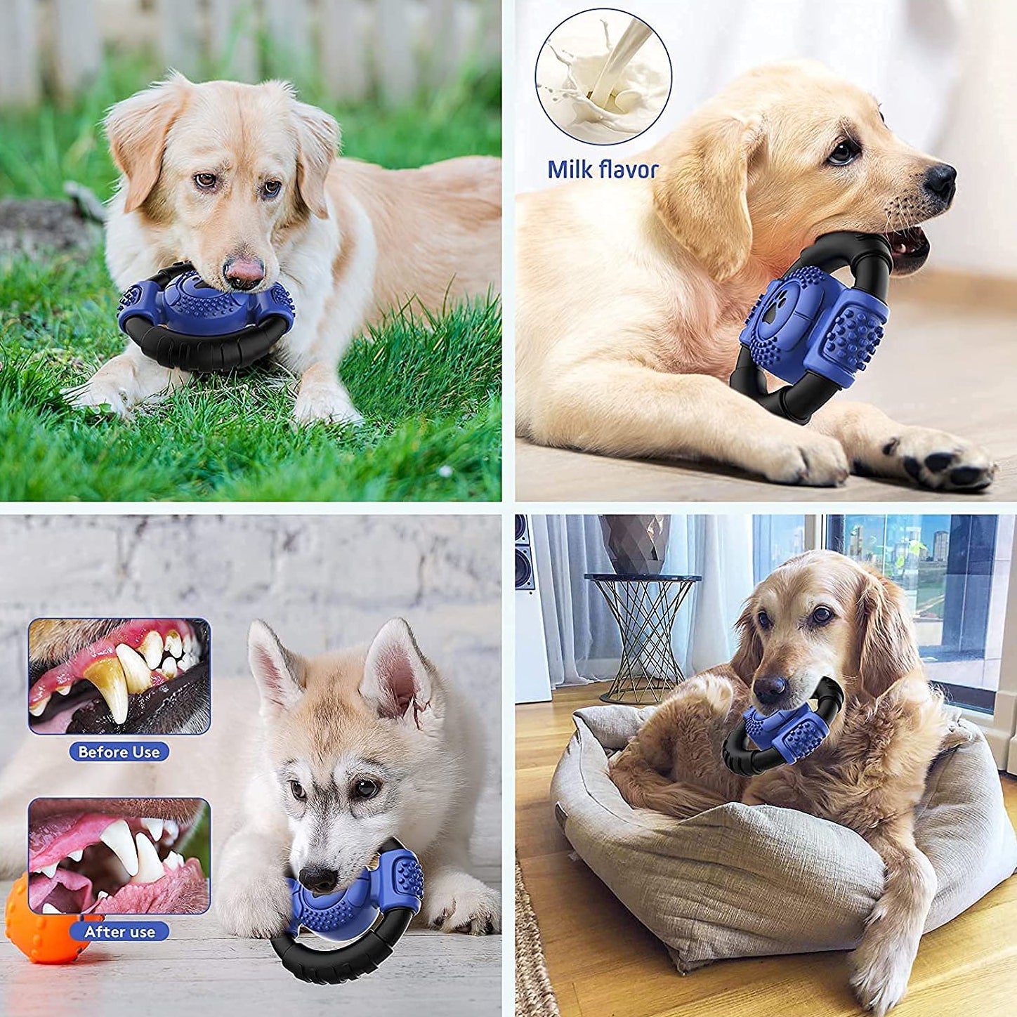 Interactive Squeaky Dog Chew Toy Best Place Sale Online