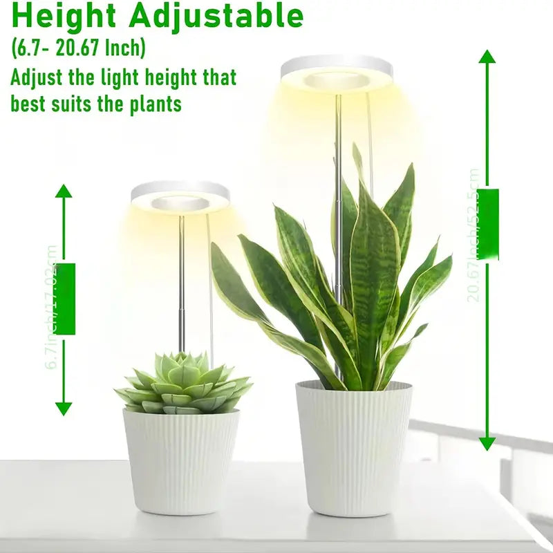 Full Spectrum LED Halo Plant Light With Stand Height Adjustable Auto Timer Browse Cheap Online