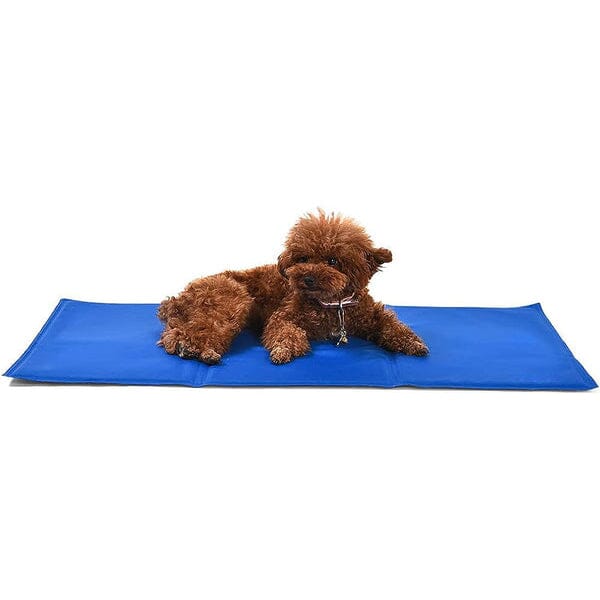 Pet Cooling Mat With Mastercard For Sale