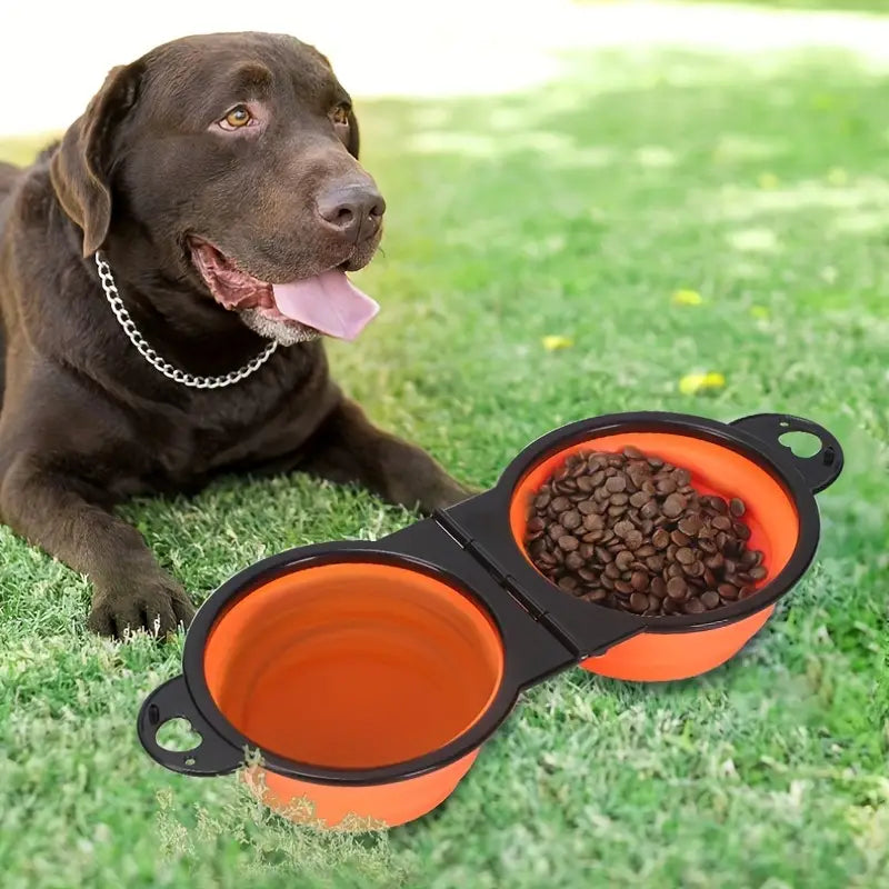 2-in-1 Collapsible Double Dog Bowl Discount Eastbay