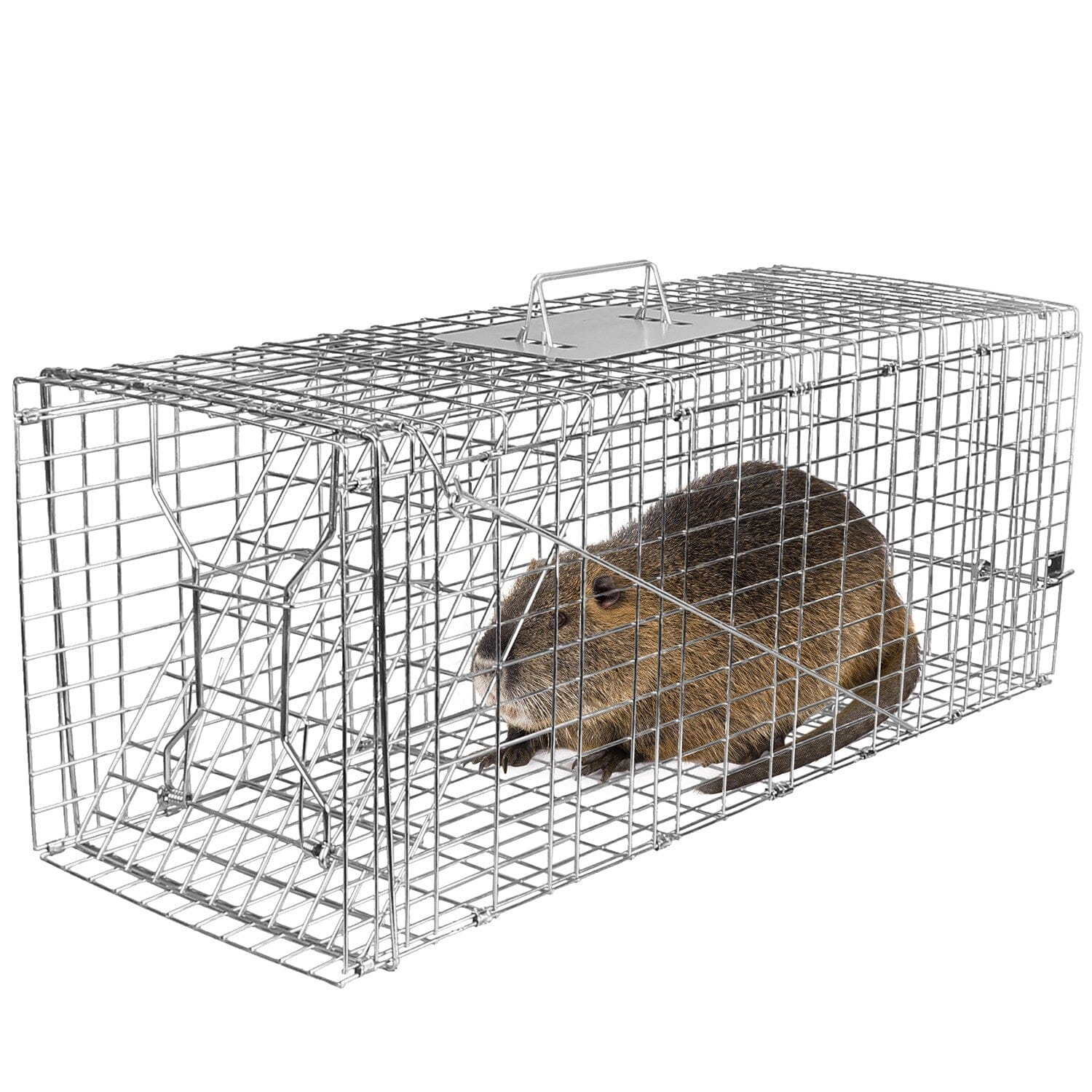 Humane Catch Release Live Animal Collapsible Galvanized Wire Trap Cage Free Shipping Cheap Online