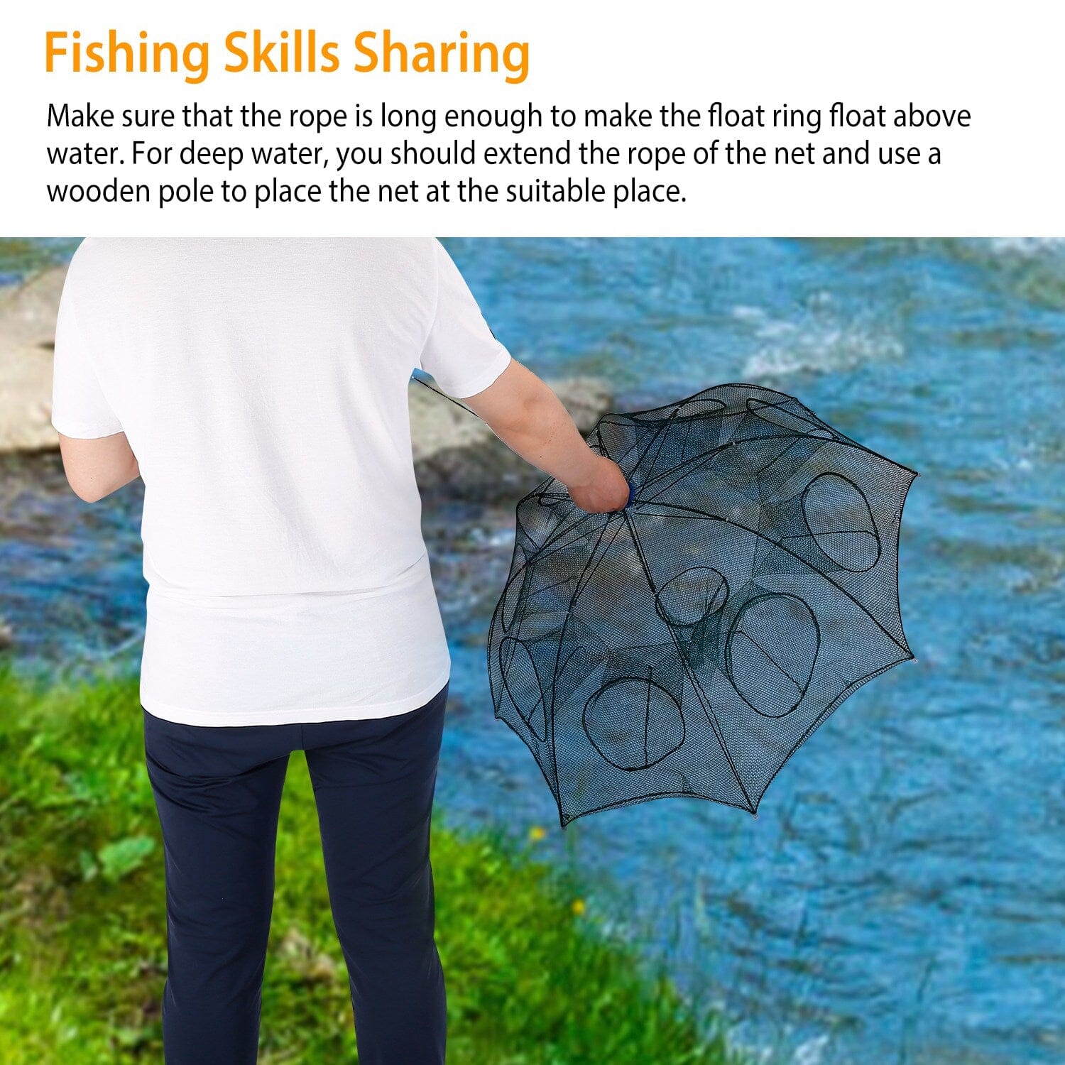 Foldable Fishing Bait Net Trap Visit Cheap Pice