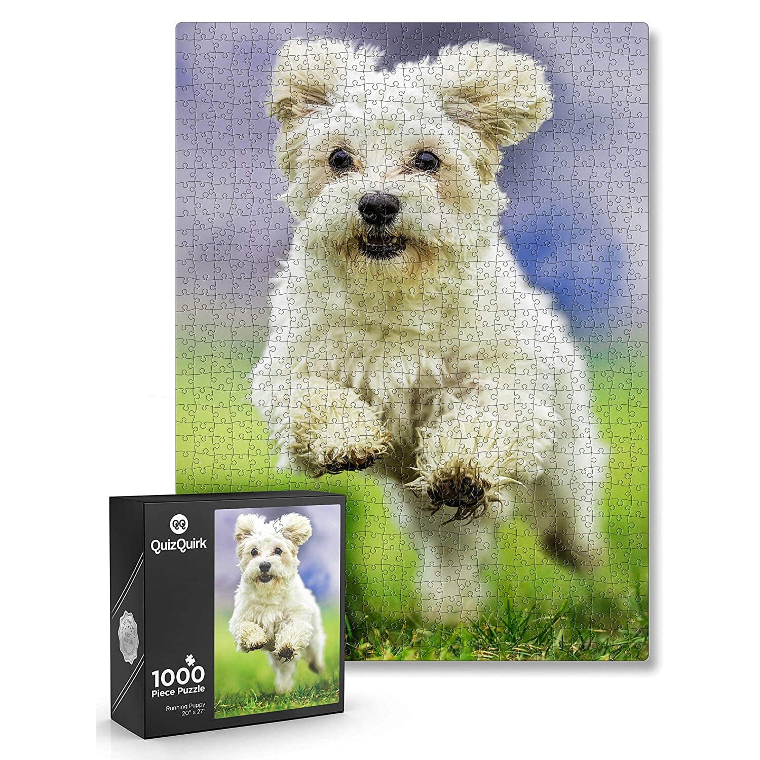 1000-Piece: Puzzle for Adults/Teens with Puzzle Saver Kit Discount Recommend