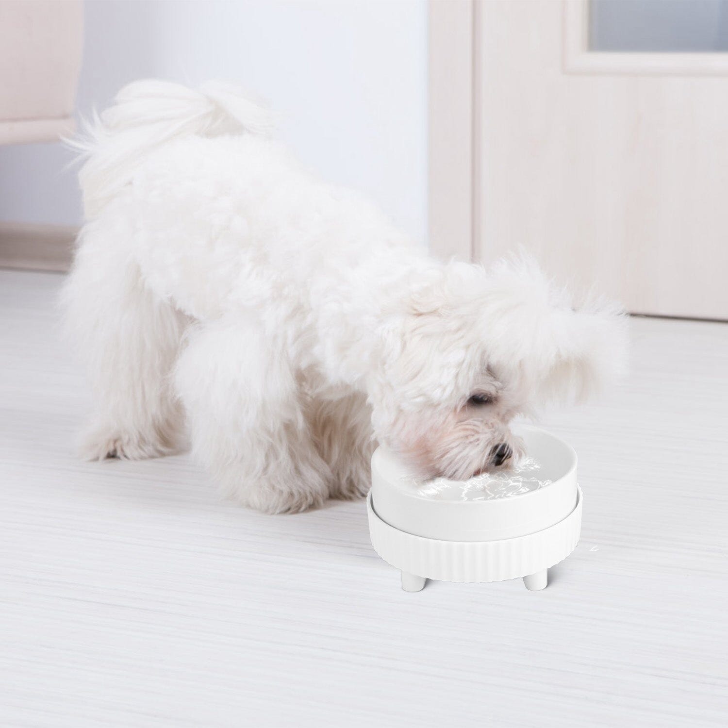 Ceramic Heated Pet Water Bowl Food Warmer Discount View