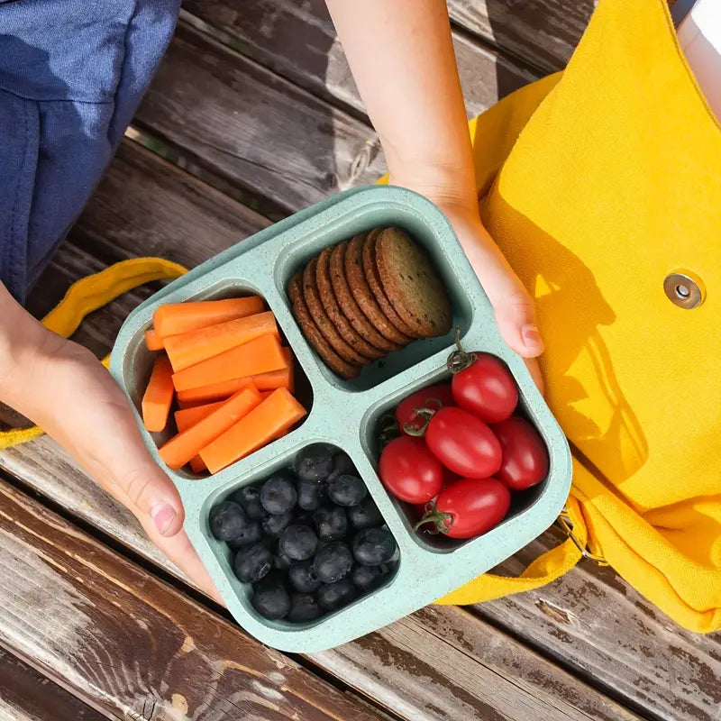 4-Pack: Snack Container With 4 Compartments, Divided Bento Lunch Box With Transparent Lids Discount Low Cost