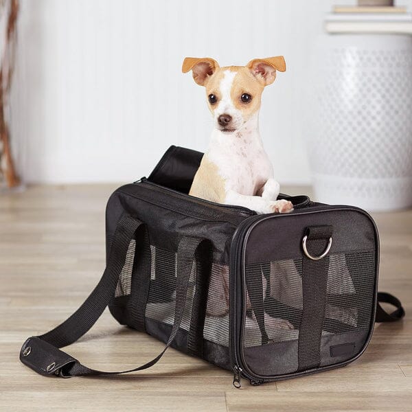 Soft-Sided Mesh Pet Travel Carrier Browse For Sale