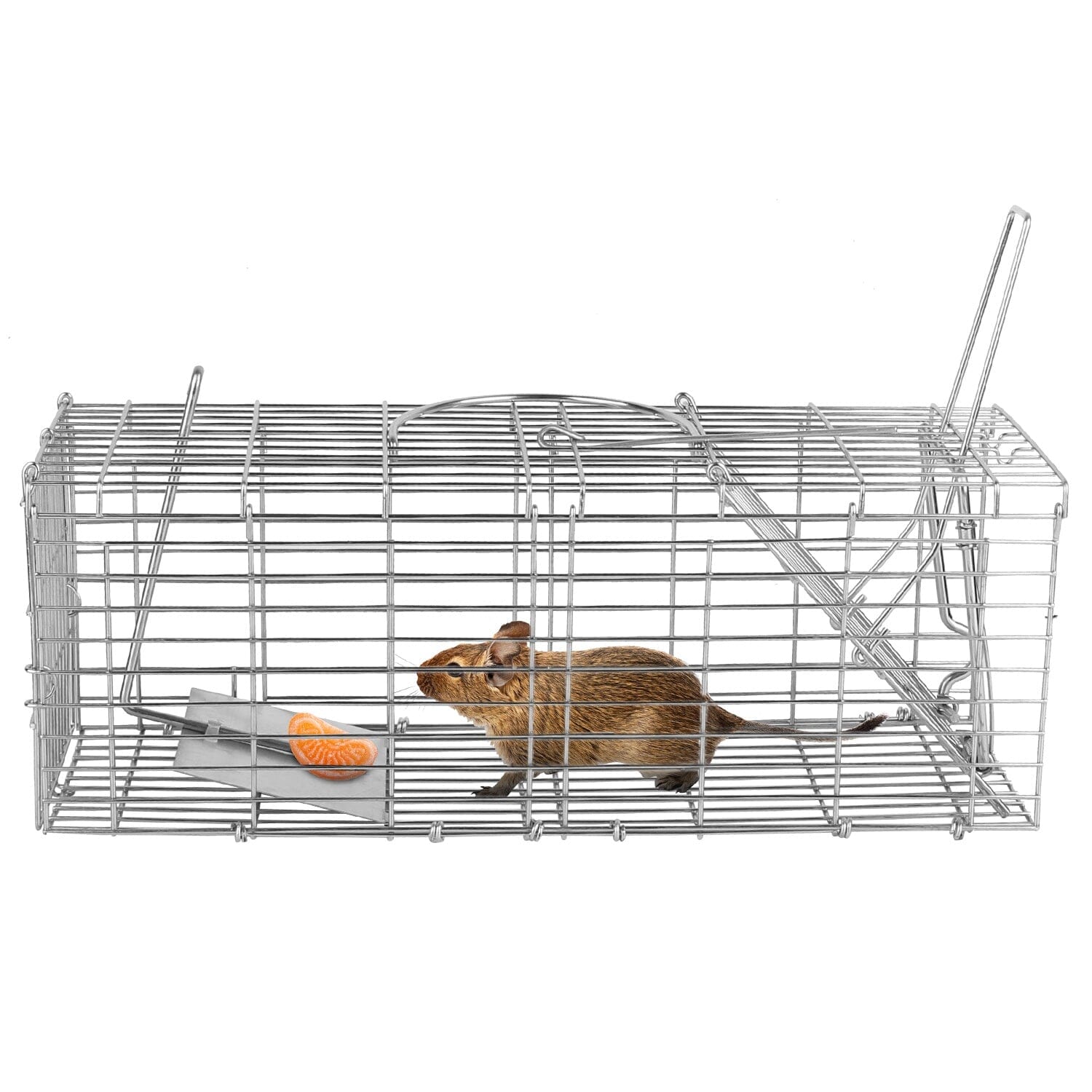 Foldable Rat Trap Cage Humane Live Rodent Trap Cage Original Online