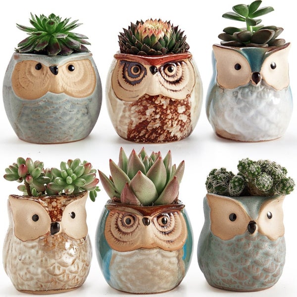 6-Pack: 2.5 Inch Owl Pot Ceramic Base Best Wholesale Sale Online