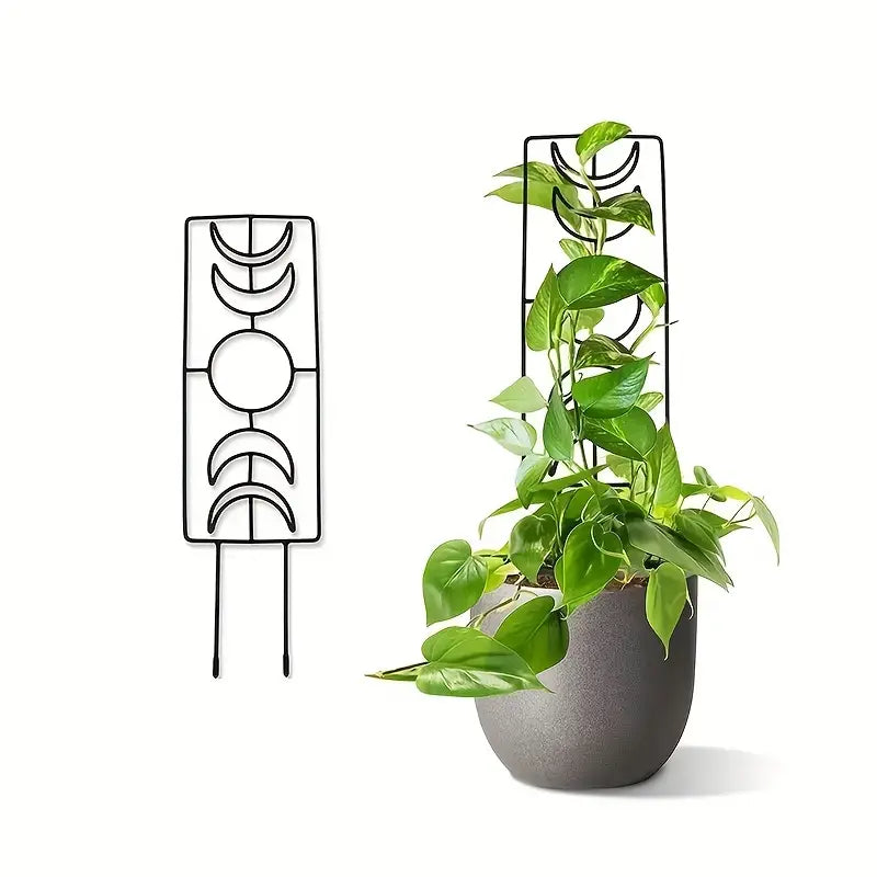 2-Pack: Metal Plant Trellis for Climbing Plants Indoor With Mastercard