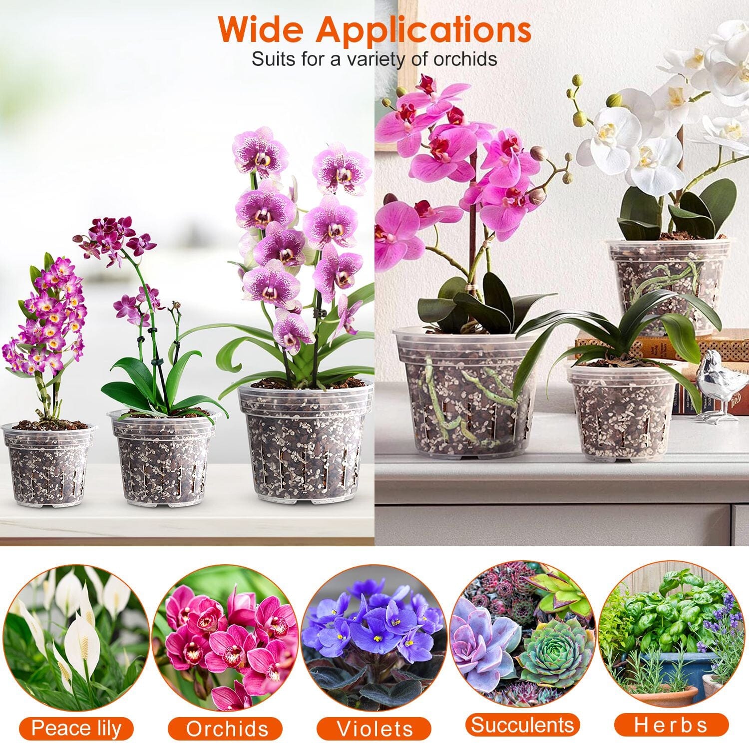 9-Piece: Orchid Pots Clear Reusable Plastic Flower Plant Nursery Planter Buy Cheap Free Shipping