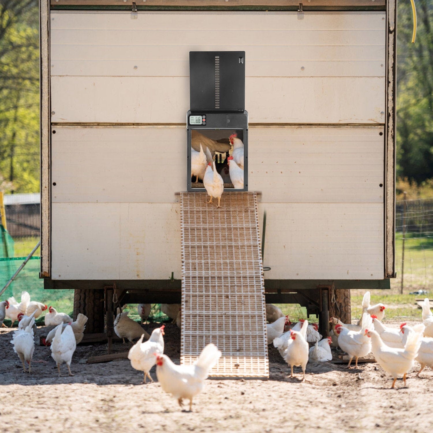 Automatic Chicken Coop Door with Timer Setting Free Shipping Clearance