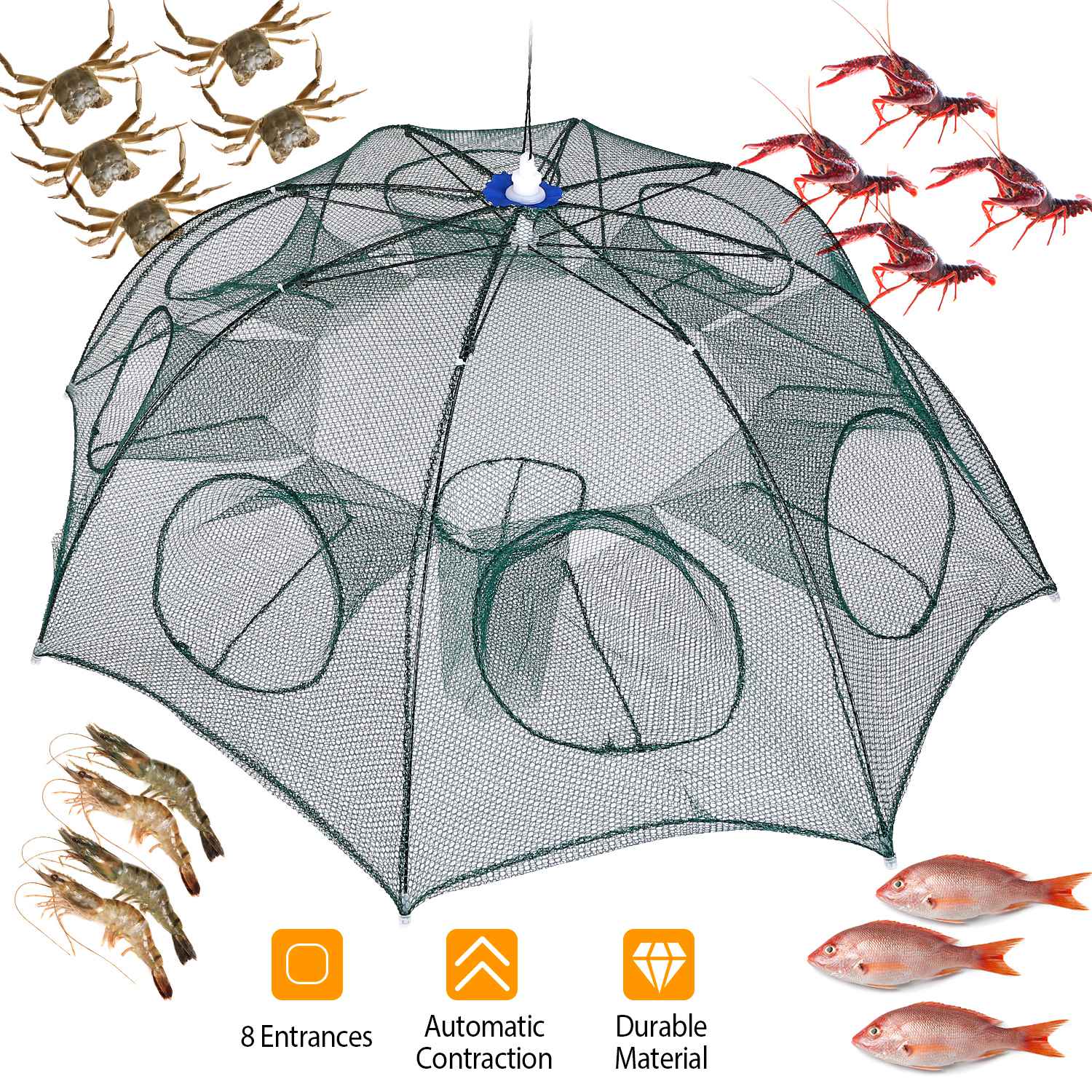 Foldable Fishing Bait Net Trap Visit Cheap Pice