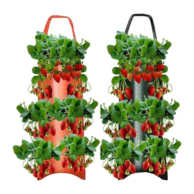 Upside Down Tomato Grow Bag Explore Online