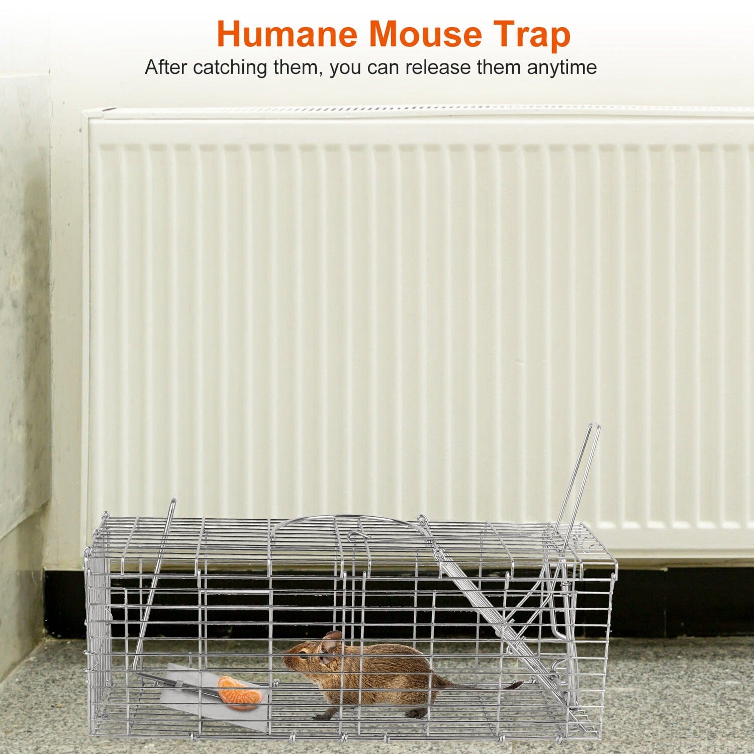 Foldable Rat Trap Cage Humane Live Rodent Trap Cage Original Online