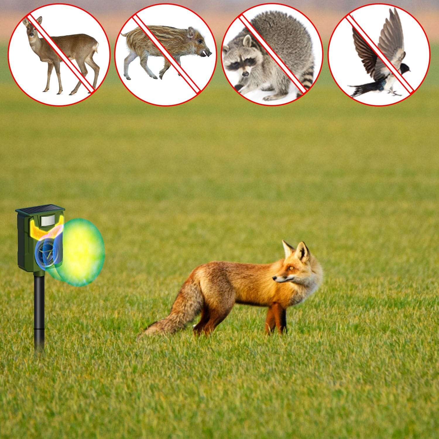 Solar Ultrasonic Animal Repeller with Flame Light USB Charge Motion Sensor Choice Cheap Pice