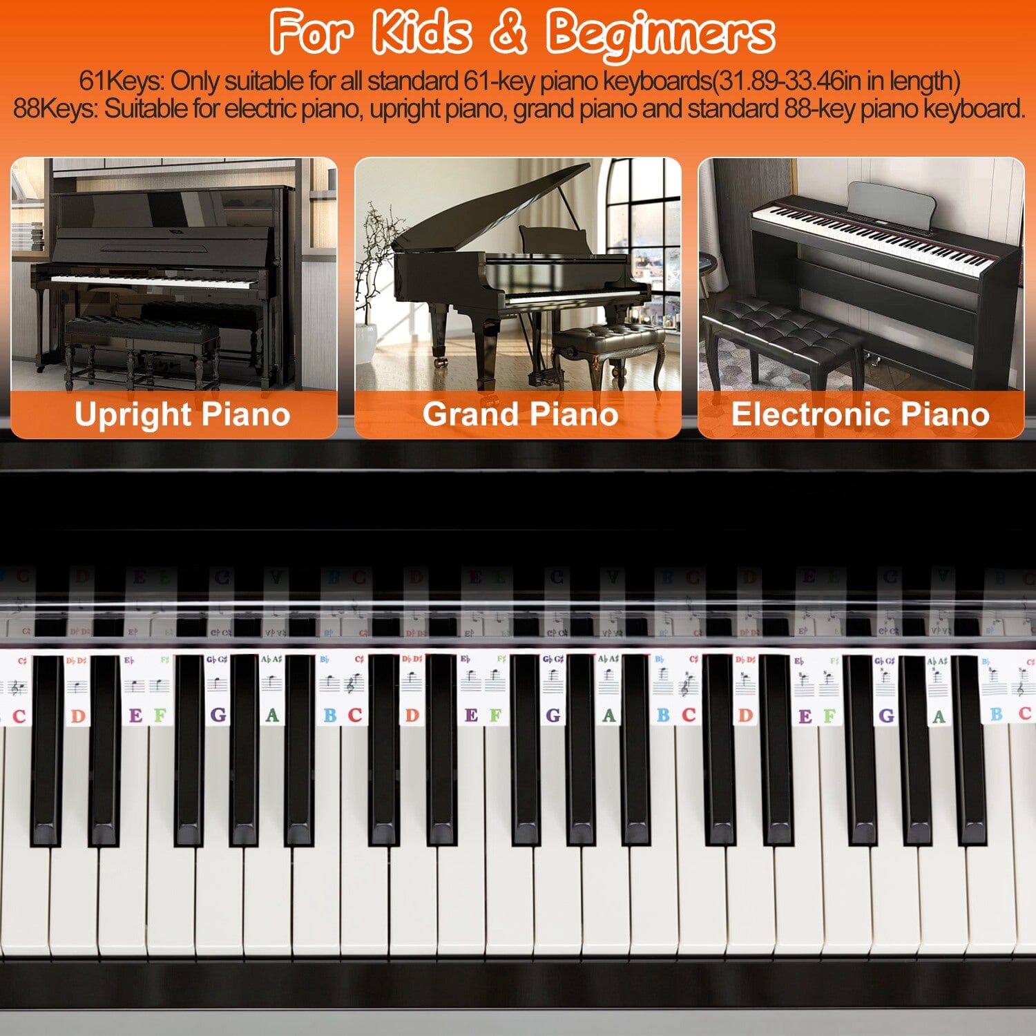 Removable PVC Piano Keyboard Stickers Discount Fast Delivery