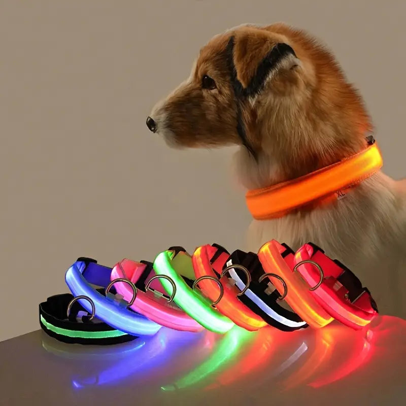 LED Dog Collars Light Adjustable Flashing Luminous Collar Night Anti-Lost Cheap Sale Perfect