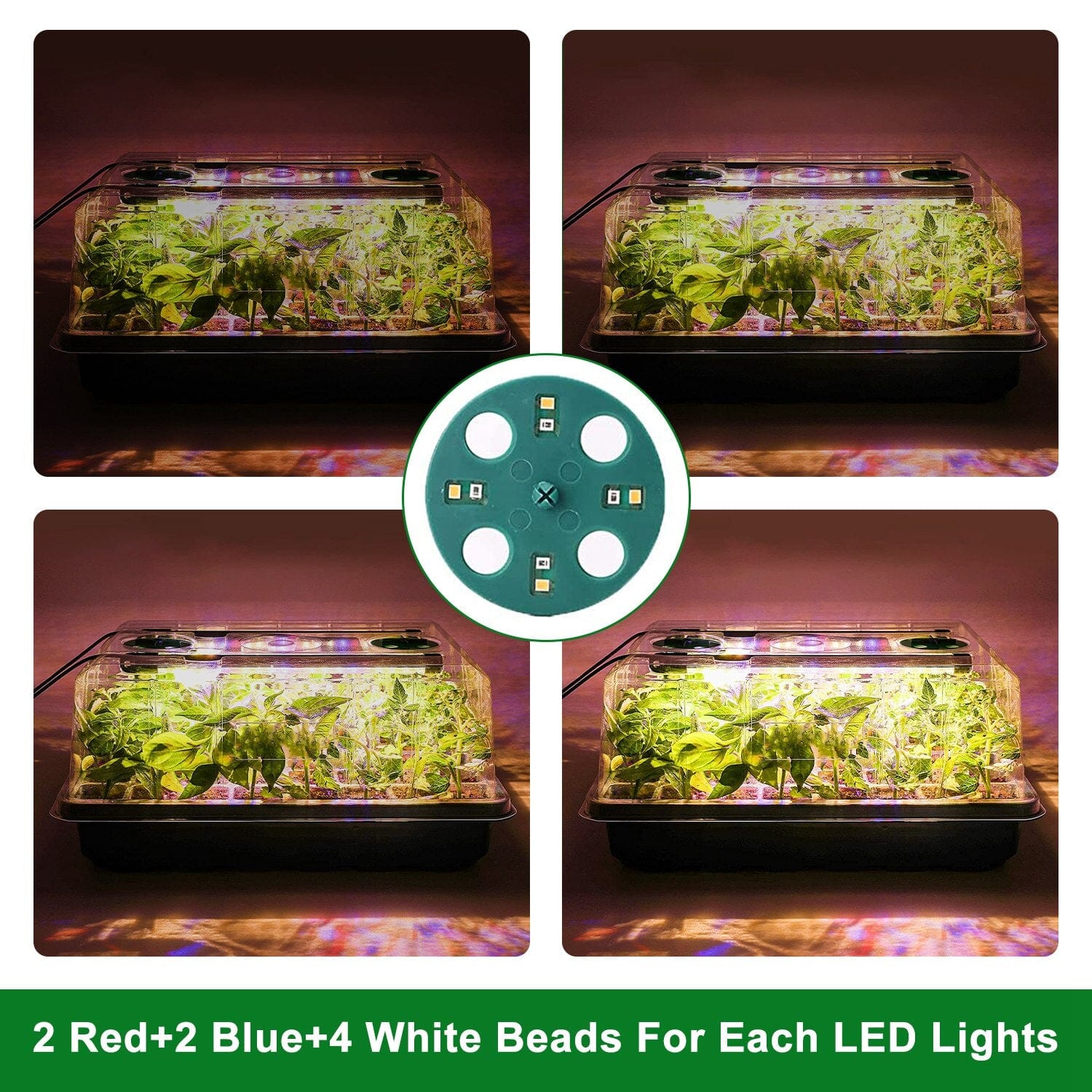 2-Pack: 40 Cell Seed Starting Tray Plant Grow Light with 4 Adjustable Brightness Outlet Store Online