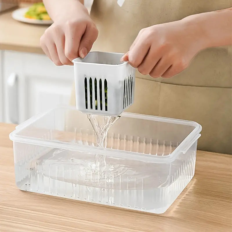 Kitchen Scallion Storage Box Buy Cheap Brand New Unisex