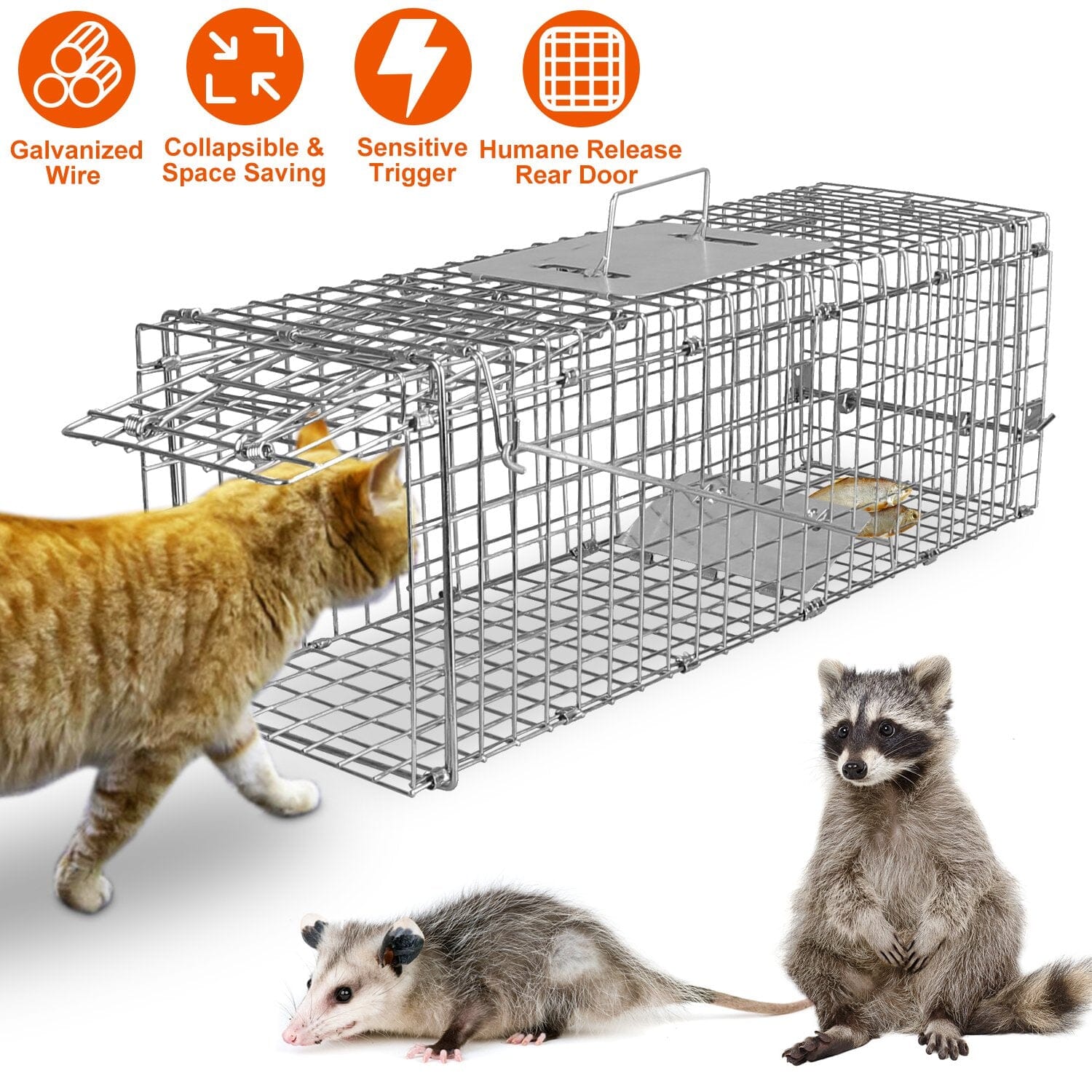 Humane Live Animal Rodent Cage Collapsible Galvanized Wire Inexpensive Sale Online