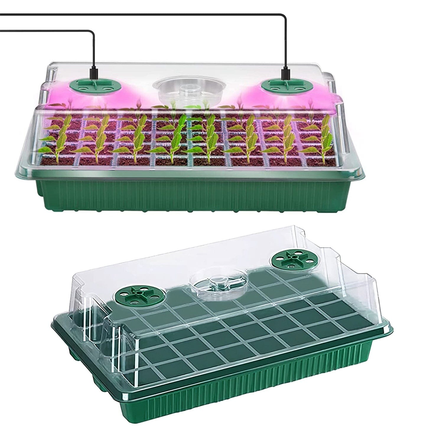 2-Pack: 40 Cell Seed Starting Tray Plant Grow Light with 4 Adjustable Brightness Outlet Store Online