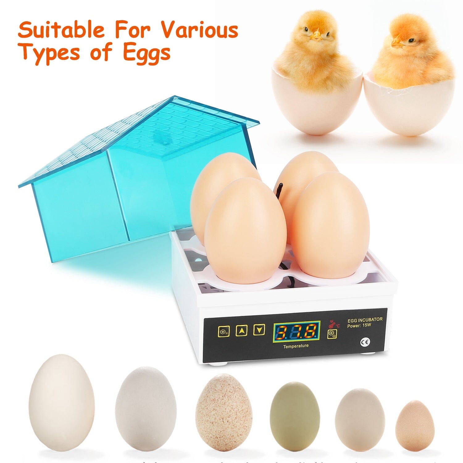 Professional Poultry Hatcher with Digital Display Automatic Temperature Humidity Clearance Cheap Online