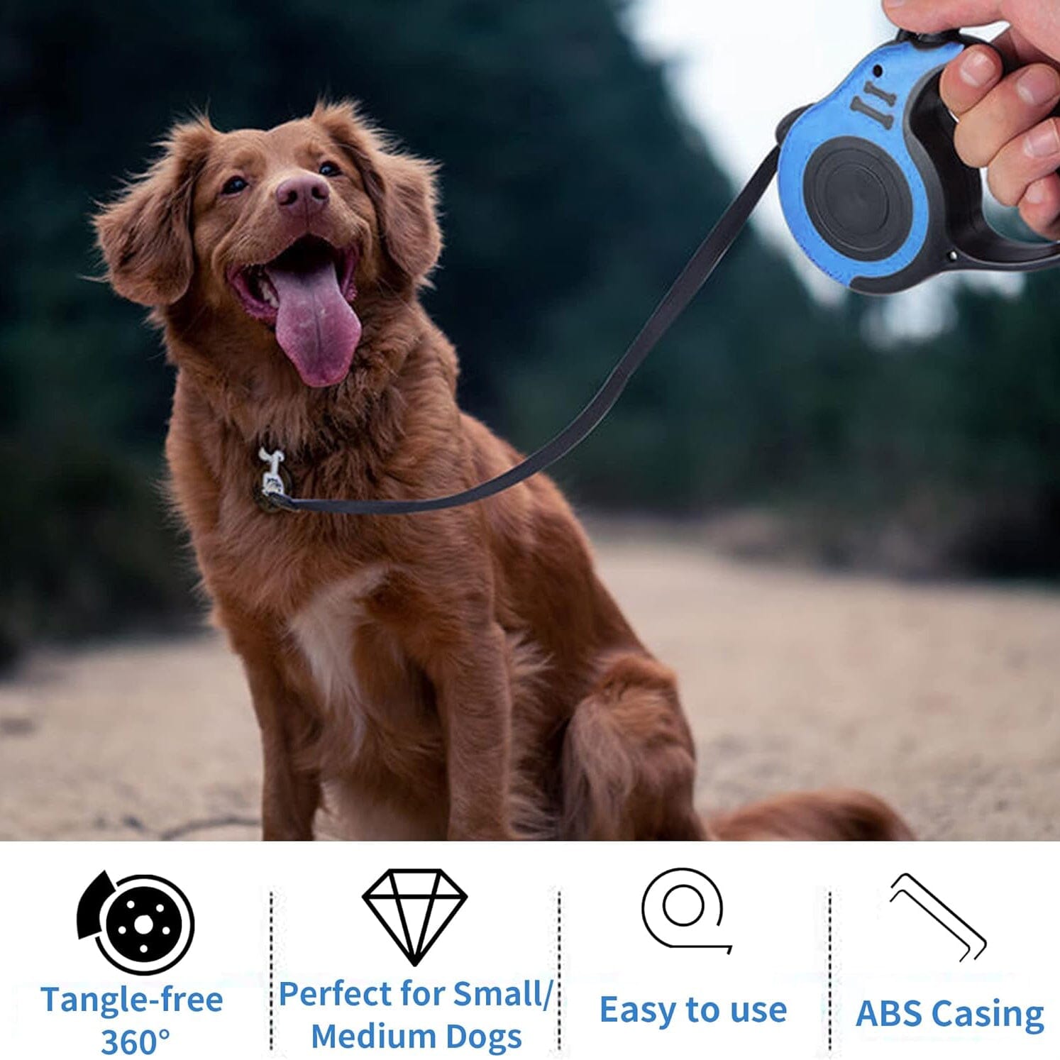 Durable Double Switch Retractable Pet Leash Official Sale Online