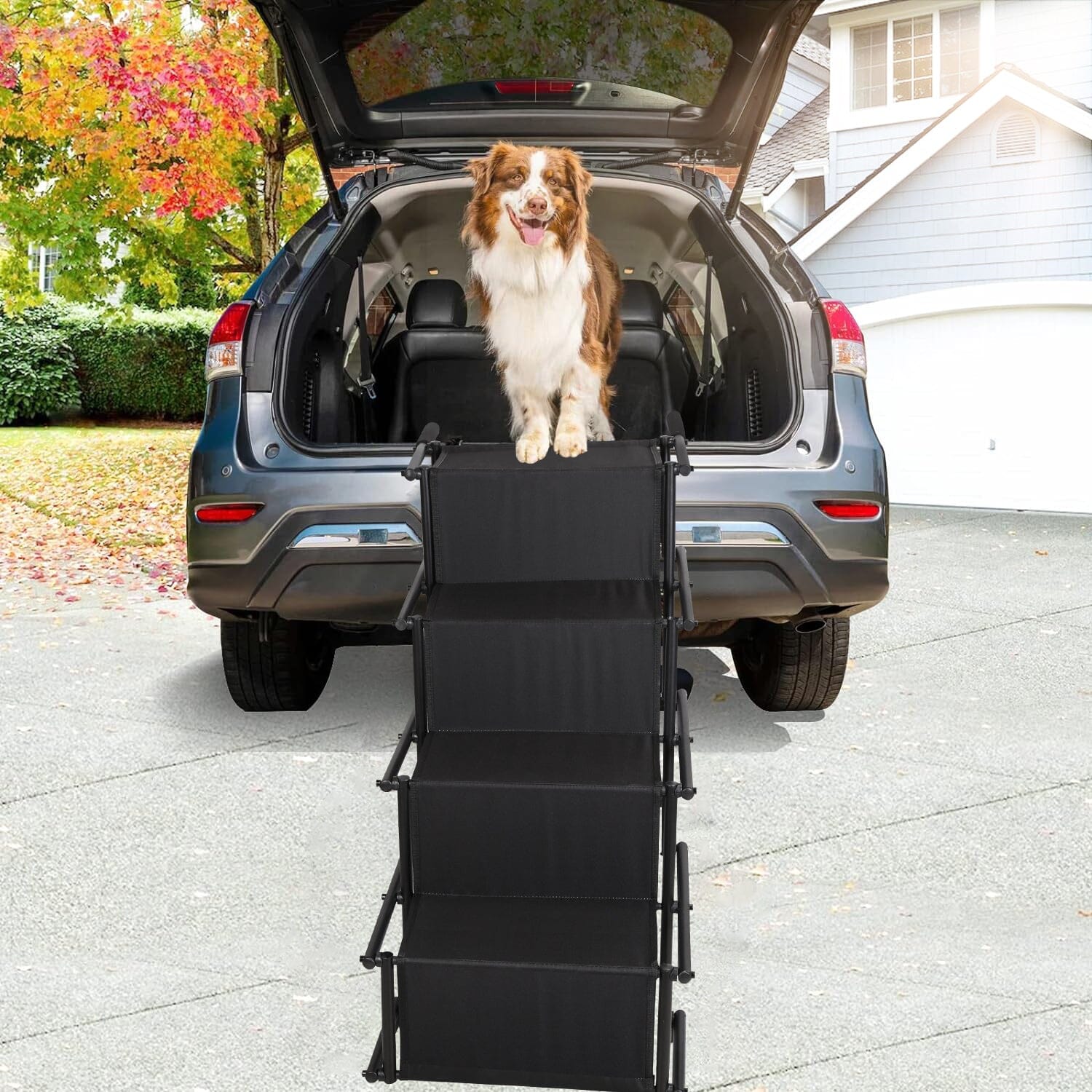 Foldable Dog Ramp 4 Step Collapsible Non Slip Stairs Discount Wholesale