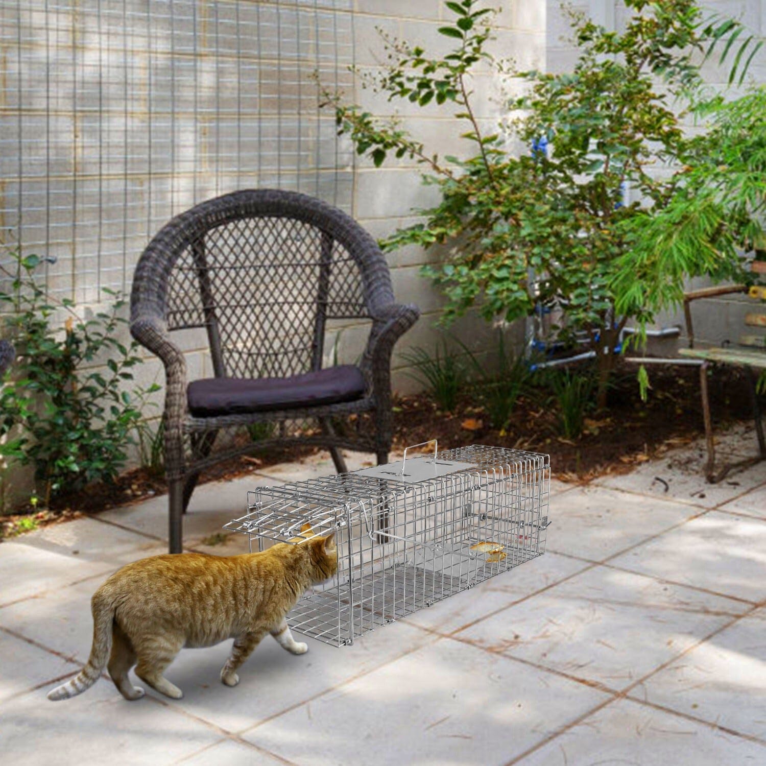 Humane Live Animal Rodent Cage Collapsible Galvanized Wire Inexpensive Sale Online