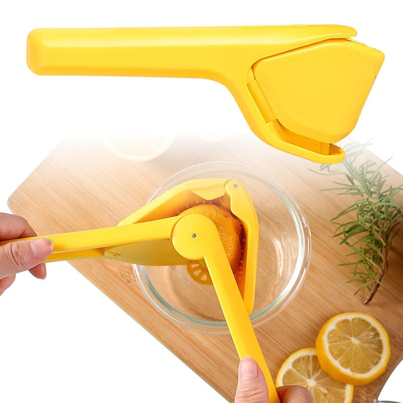 Manual Lemon Squeezer Fold Flat Design Pay With Visa