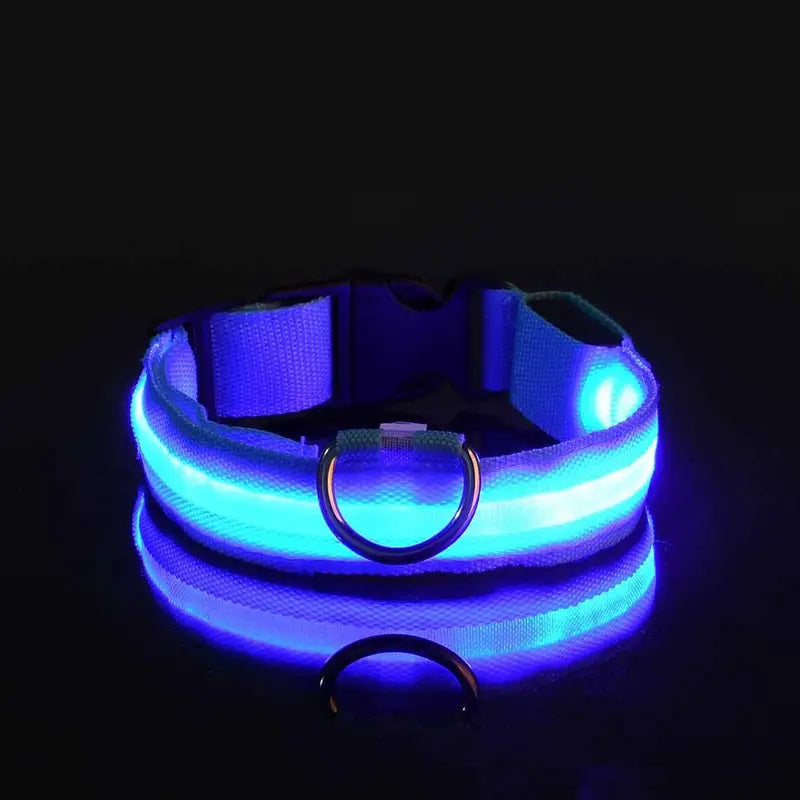 LED Dog Collars Light Adjustable Flashing Luminous Collar Night Anti-Lost Cheap Sale Perfect