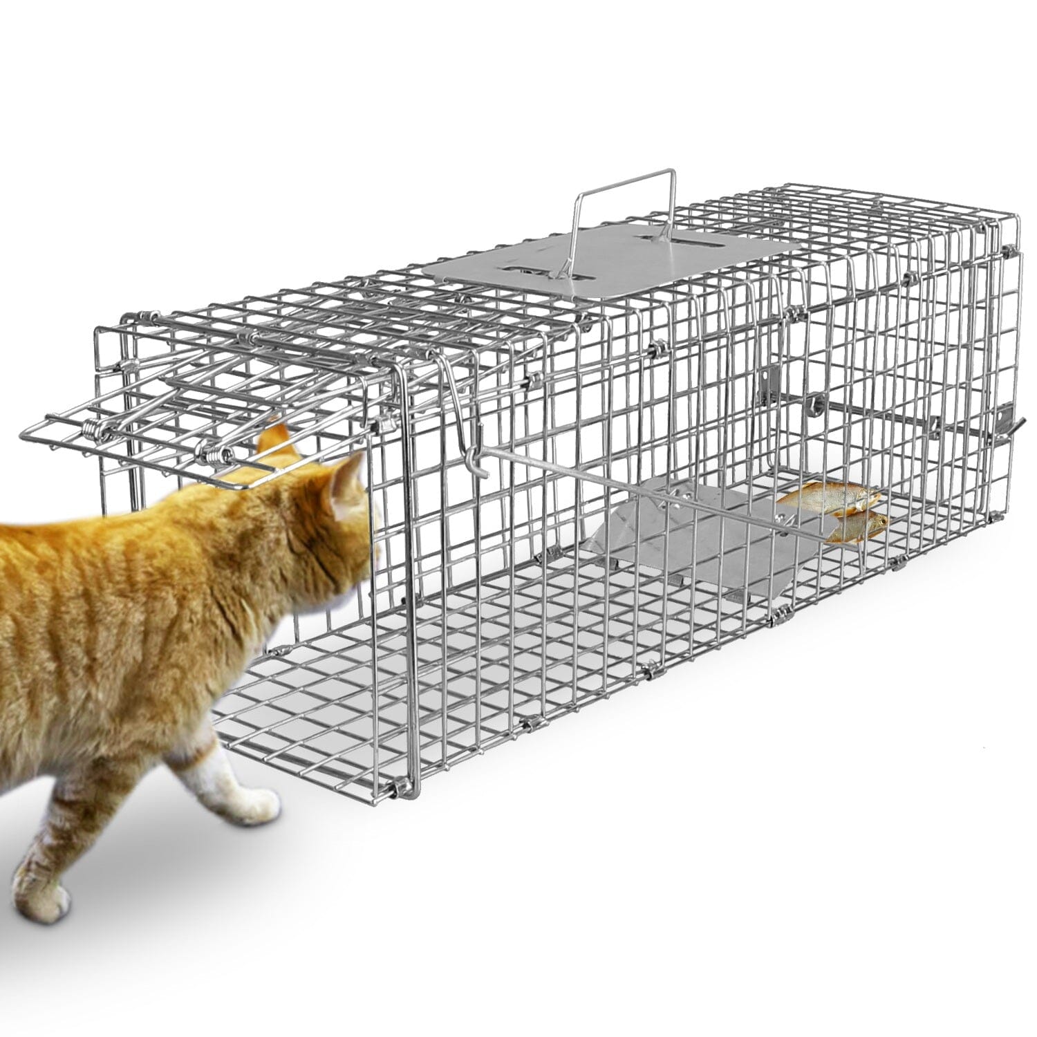 Humane Live Animal Rodent Cage Collapsible Galvanized Wire Inexpensive Sale Online