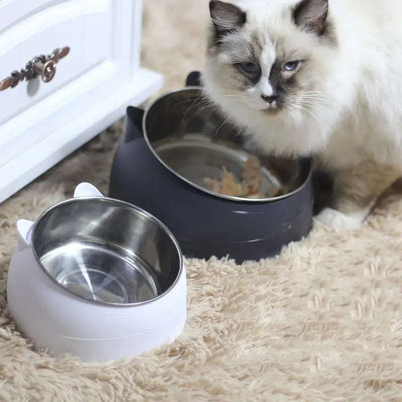 Premium Stainless Steel Cat & Dog Bowls - Non Slip Base for Food & Water Tumblr Cheap Pice