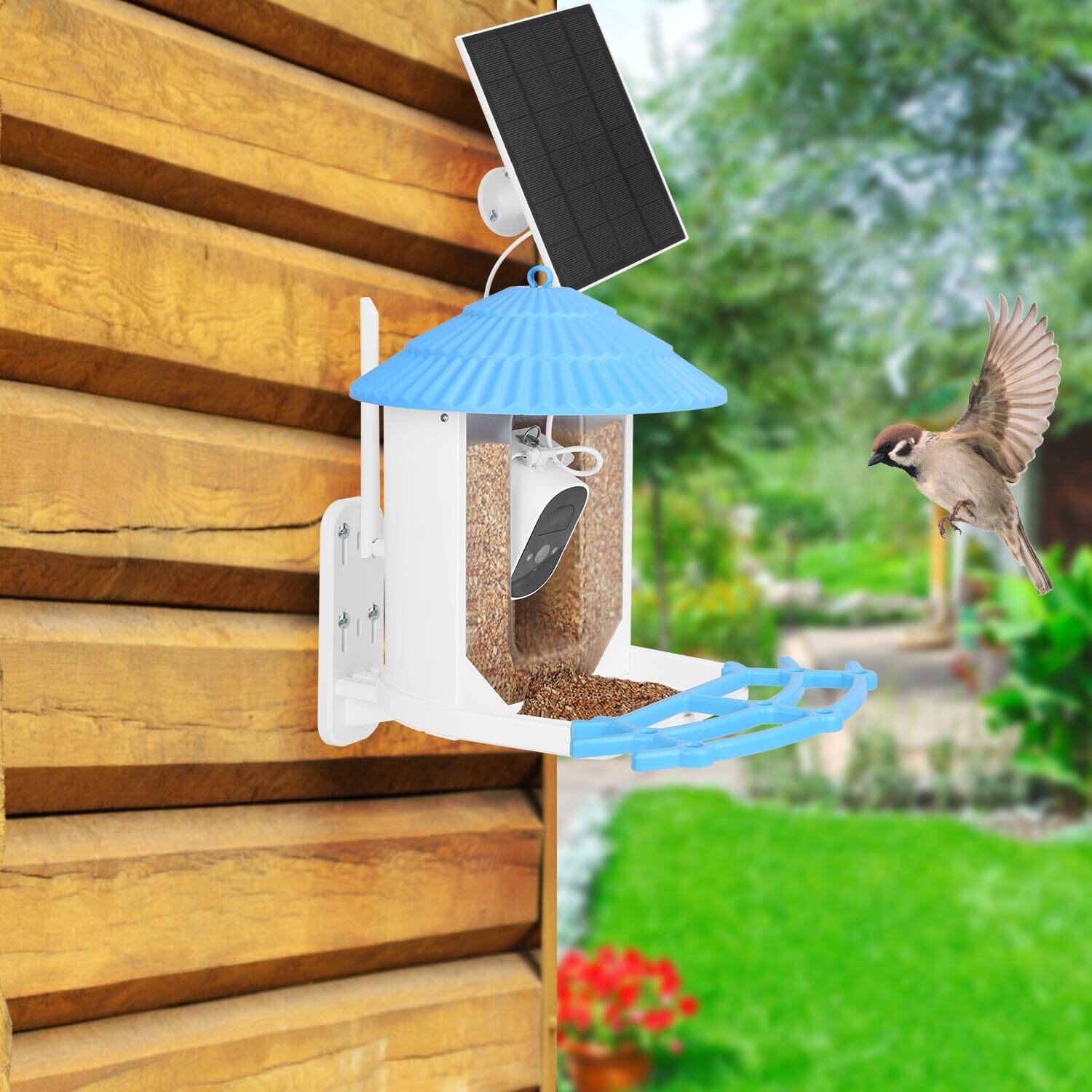 Solar Powered Smart Bird Feeder with PIR Motion AI Two-Way Audio Discount Collections