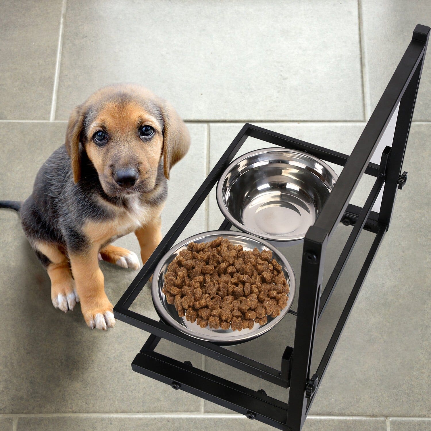 Dog Raised Bowls with Adjustable Height Stainless Steel Sale Release Dates