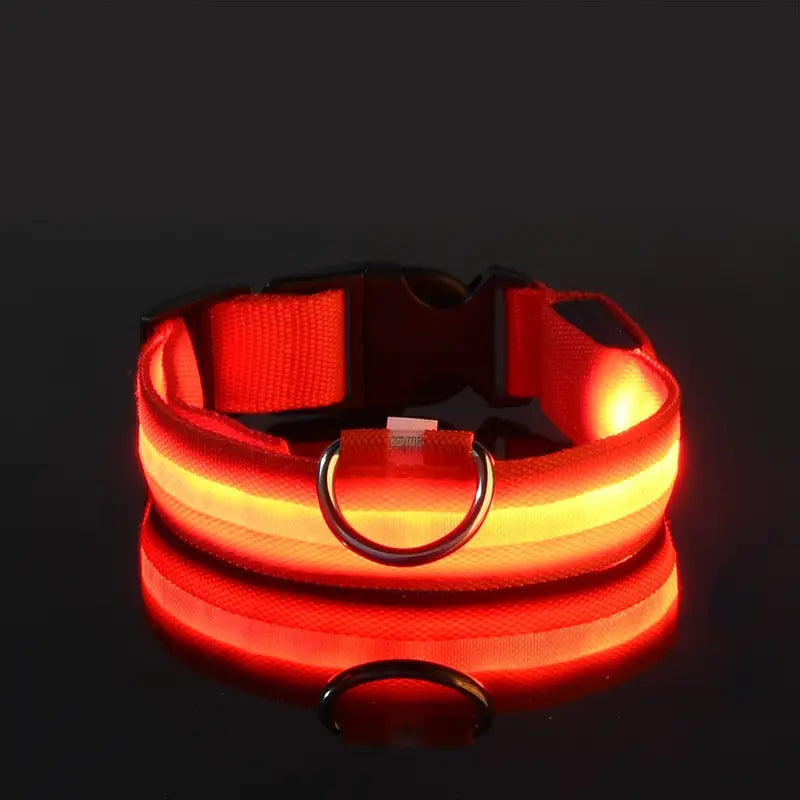 LED Dog Collars Light Adjustable Flashing Luminous Collar Night Anti-Lost Cheap Sale Perfect