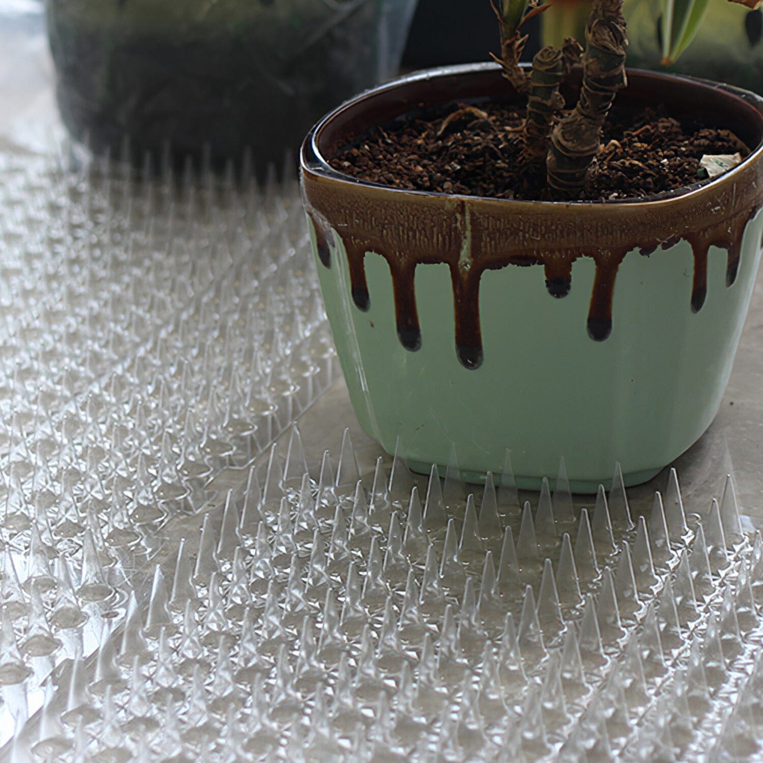 16-Pieces: Deterrent Training Mats with Spikes The Cheapest Cheap Pice