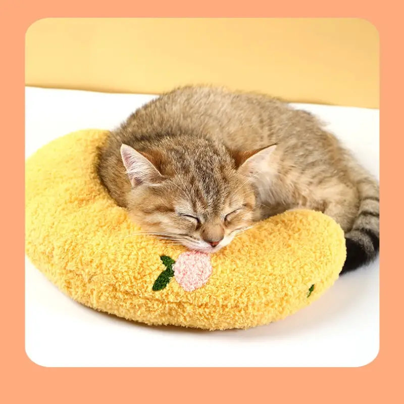 Soft Fluffy Pillows For Indoor Cats Sale Tumblr