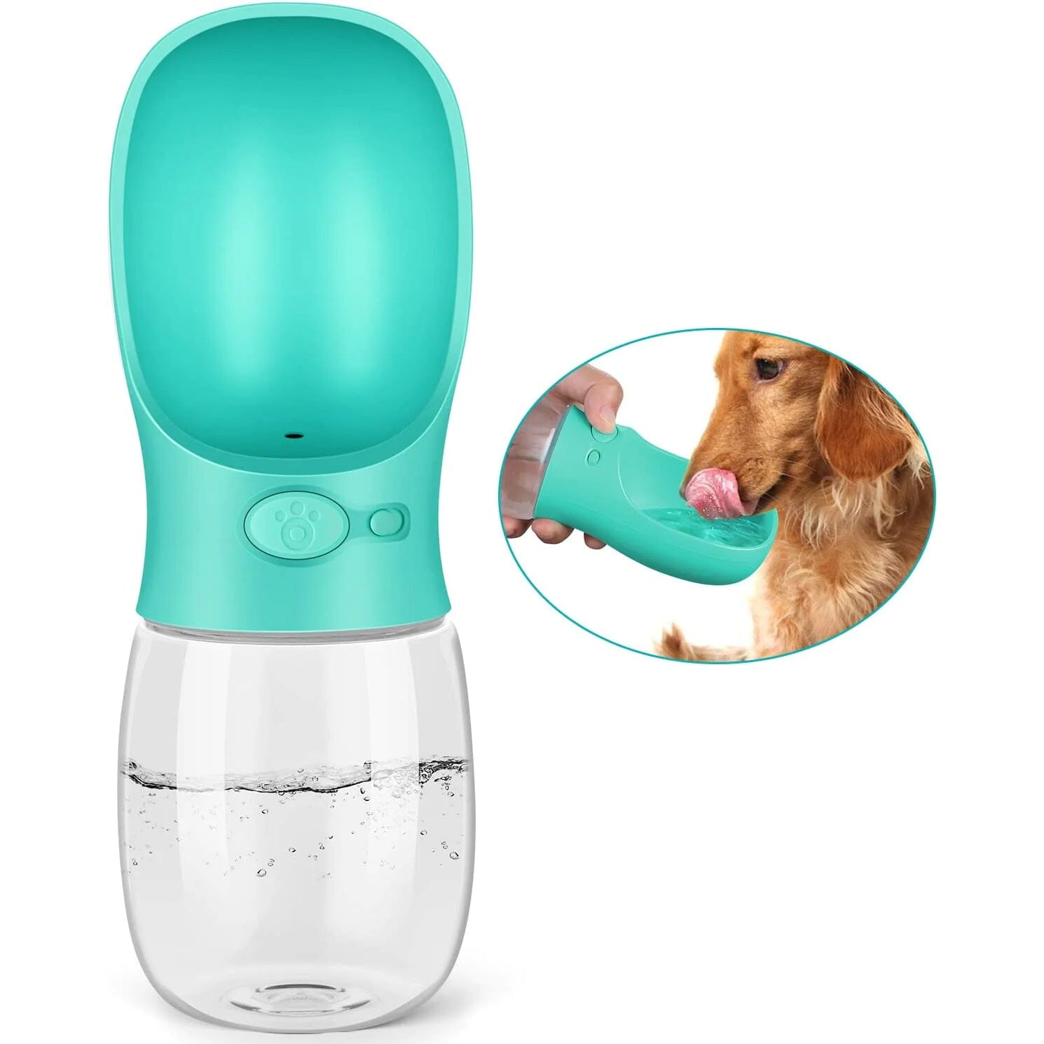 Pedy Portable Dog Water Bottle 12 Oz. Low Cost Sale Online