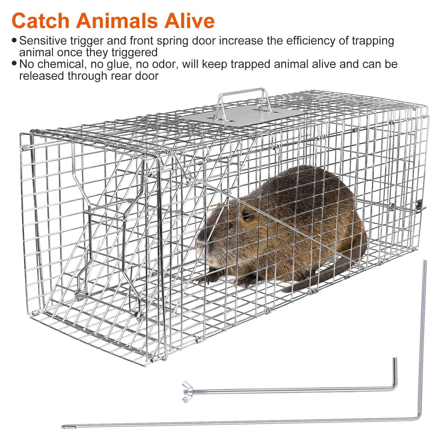 Humane Catch Release Live Animal Collapsible Galvanized Wire Trap Cage Free Shipping Cheap Online