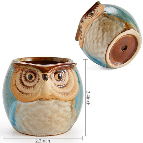 6-Pack: 2.5 Inch Owl Pot Ceramic Base Best Wholesale Sale Online