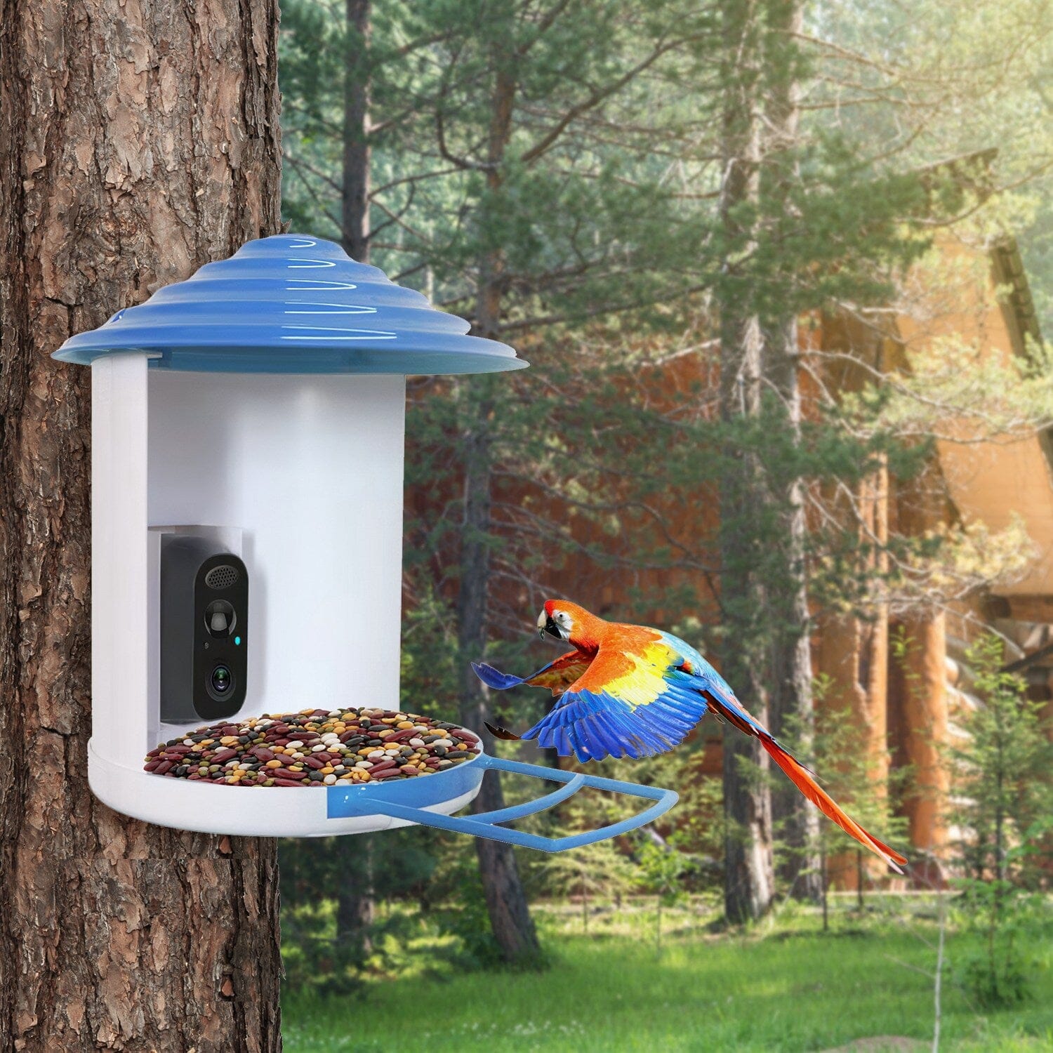 Smart Bird Feeder with Solar Powered Camera 1080P HD AI Identify PIR Huge Surprise Cheap Online