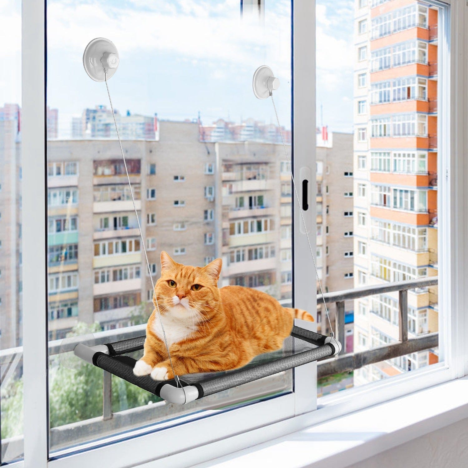 Cat Window Perch Cat Hammock Window Seat Buy Cheap 100% Original