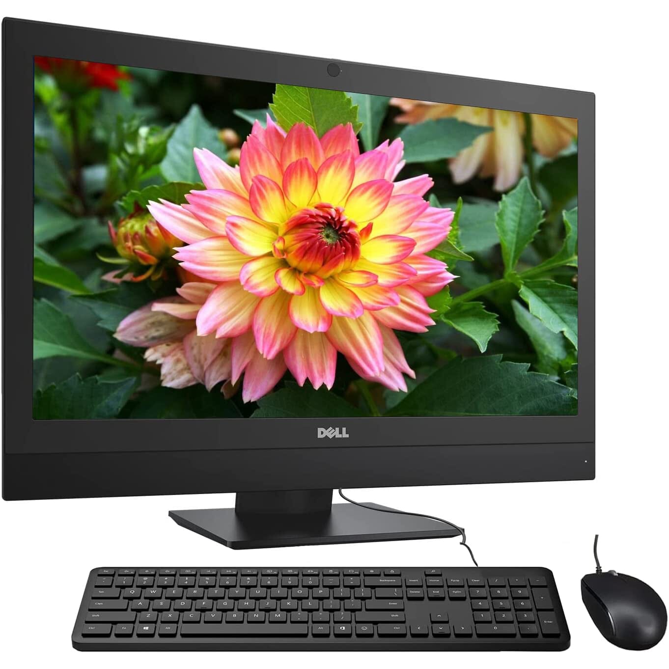 Dell OptiPlex 3050 All in One PC Desktop Computer 16GB RAM 512GB SSD (Refurbished) Fake Cheap Online