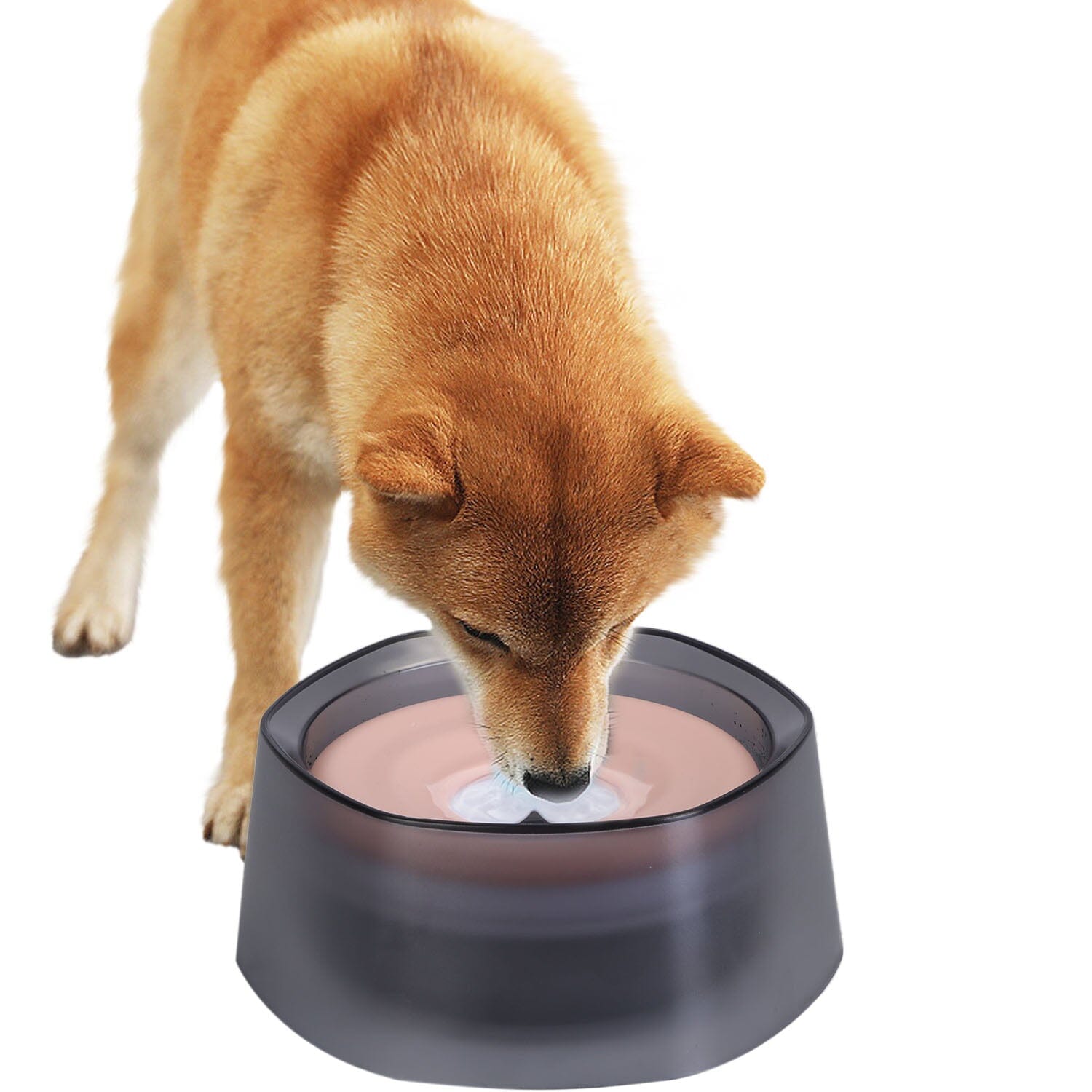 No Spill Dog Cat Water Bowl Spill Proof Slow Water Feeder 2025 Cheap Pice