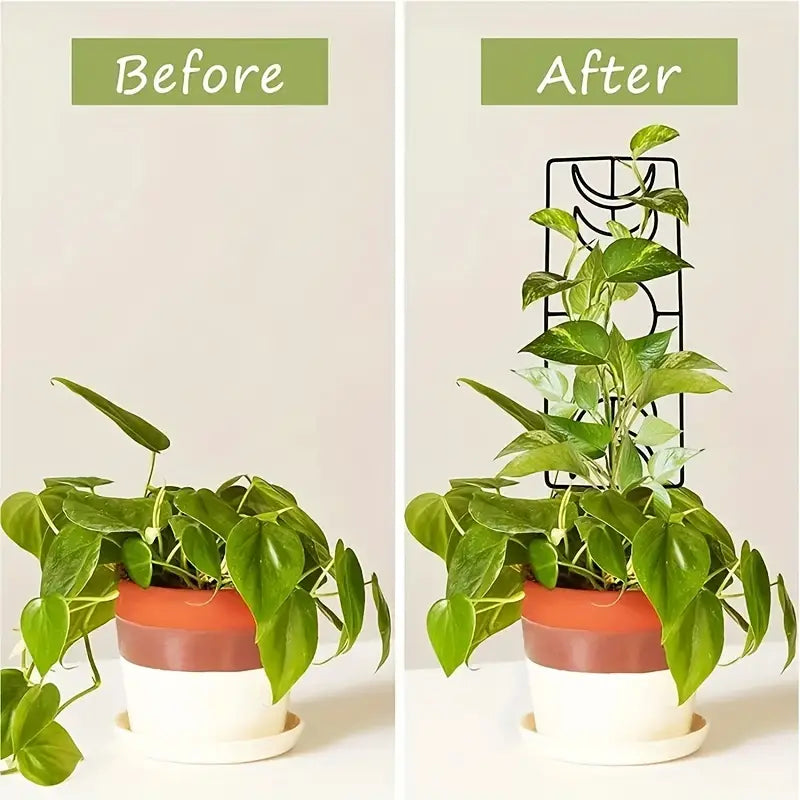 2-Pack: Metal Plant Trellis for Climbing Plants Indoor With Mastercard