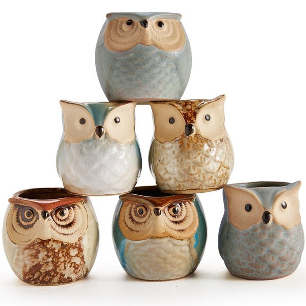 6-Pack: 2.5 Inch Owl Pot Ceramic Base Best Wholesale Sale Online