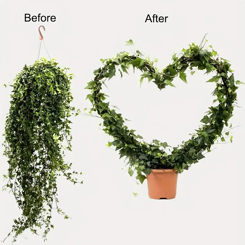 2-Pack: Heart-Shaped Plant Support Stake For Sale Sale Online