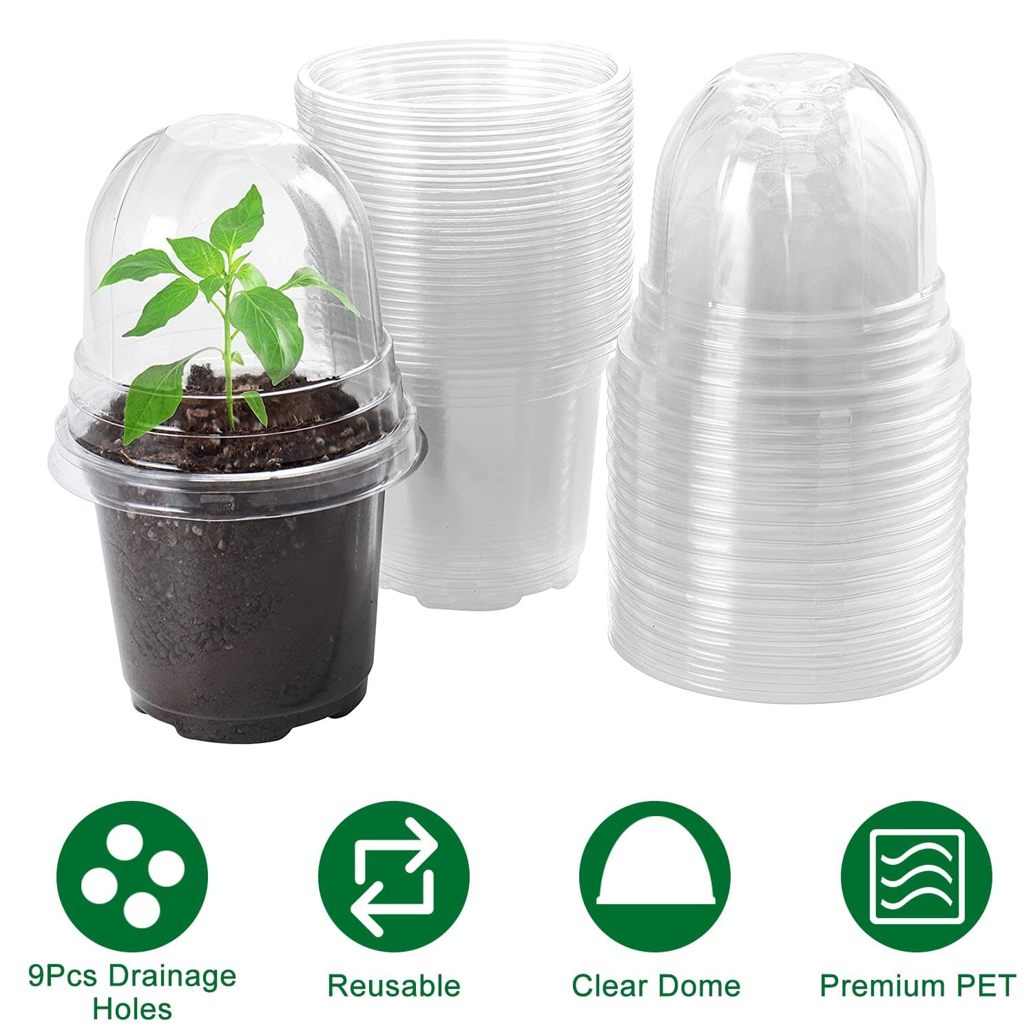 30-Pieces: Plant Nursery Pots PET Flower Seed Starting Pots Container with Dome Drainage Holes High Quality For Sale